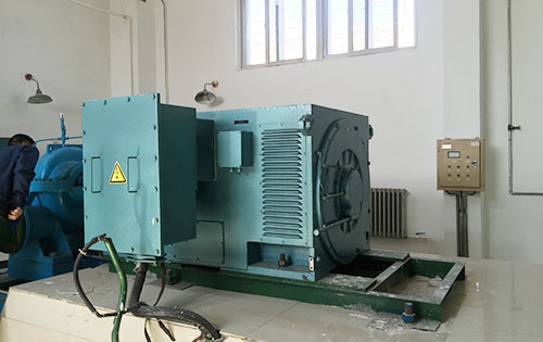 Y7108-16某水电站工程主水泵使用我公司高压电机一年质保