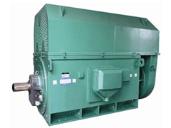 Y7108-16Y系列6KV高压电机
